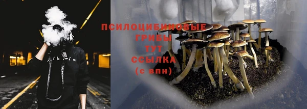 трава Балабаново