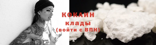 apvp Рославль