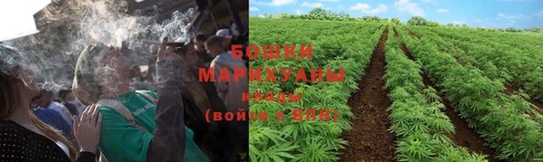 трава Балабаново