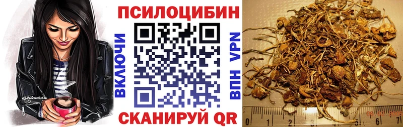 Псилоцибиновые грибы MAGIC MUSHROOMS  где купить   гидра ссылки  Заречный 