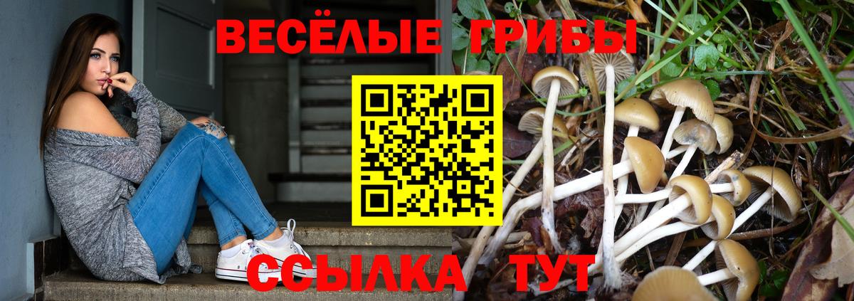 Галлюциногенные грибы MAGIC MUSHROOMS  Вход с VPN  Заречный 